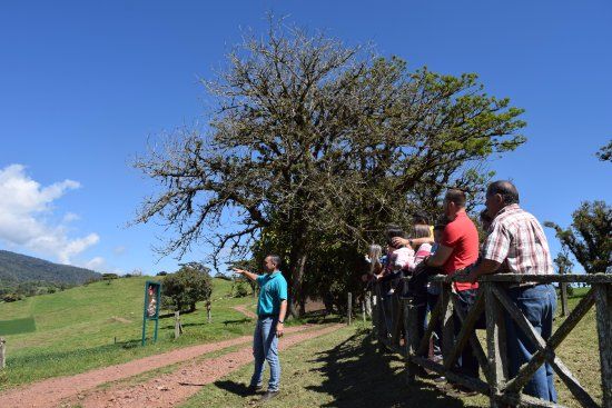 Organic Strawberry & Dairy Farm